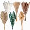 110 PCS of Boho Pampas Grass Decor, Naturally Dried Pompas, Bunny Tails Dried Flowers, and Dried Eucalyptus. Perfect for Weddings, Boho Party Decorations, and Table Decor.